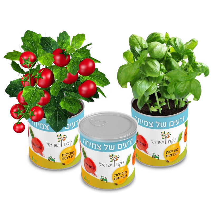 עציץ בפחית - גינת תבלינים בפחית ממותגת עציץ בפחית - גינת תבלינים בפחית ממותגת